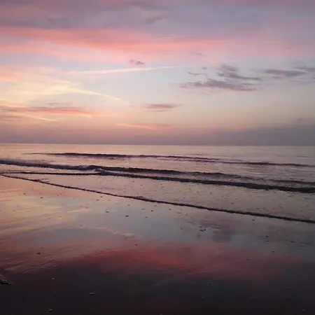 Haus Seeigel Stranddistel Norderney Buitenkant foto